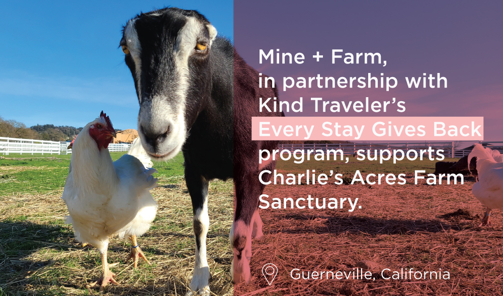 Charlie's Acres